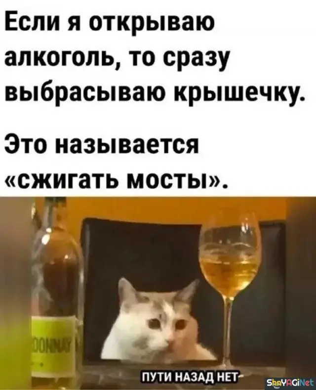 Свежие приколы из интернета: порция отличного настроения приколы, юмор, смешные фото, мемы, угар, интернет
