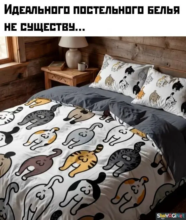Свежие приколы из интернета: порция отличного настроения приколы, юмор, смешные фото, мемы, угар, интернет