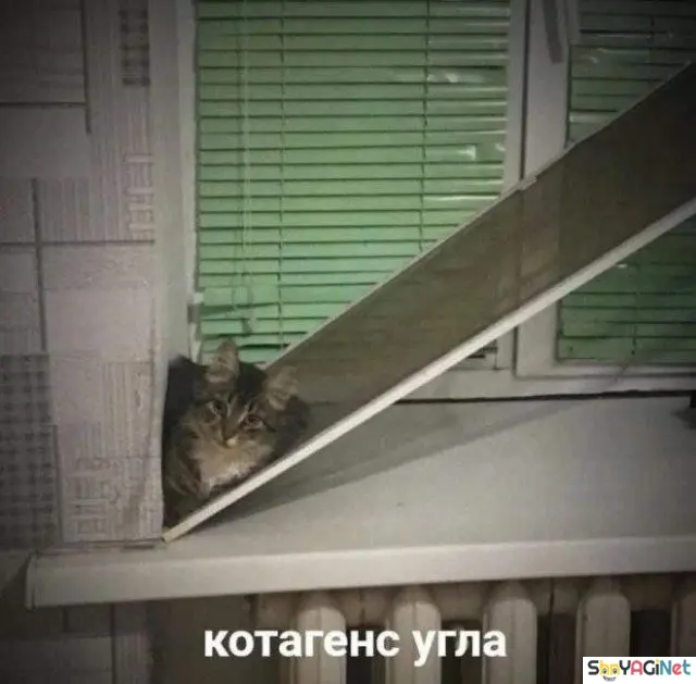 Свежие приколы из интернета: порция отличного настроения приколы, юмор, смешные фото, мемы, угар, интернет