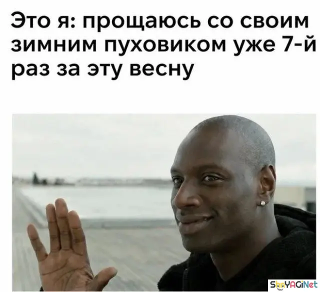 Свежие приколы из интернета: порция отличного настроения приколы, юмор, смешные фото, мемы, угар, интернет
