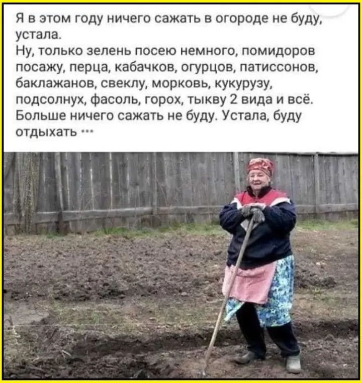Вася, водка и телевизор: убойная подборка послеобеденного юмора юмор, приколы, мемы, Вася, водка, новости, телевизор