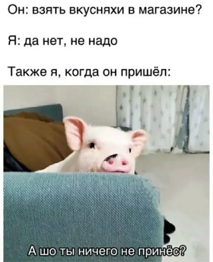 Жизненные мемы для повзрослевших: спонтанность бьет по карману мемы, юмор, взрослая жизнь, приколы, картинки