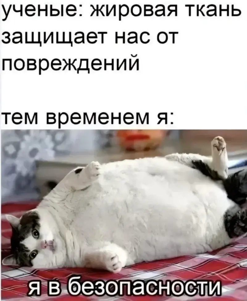 Юмор за день и аквариум с бегемотами: подборка смешных картинок юмор, приколы, подборка, картинки, бегемоты, смешное, мемы