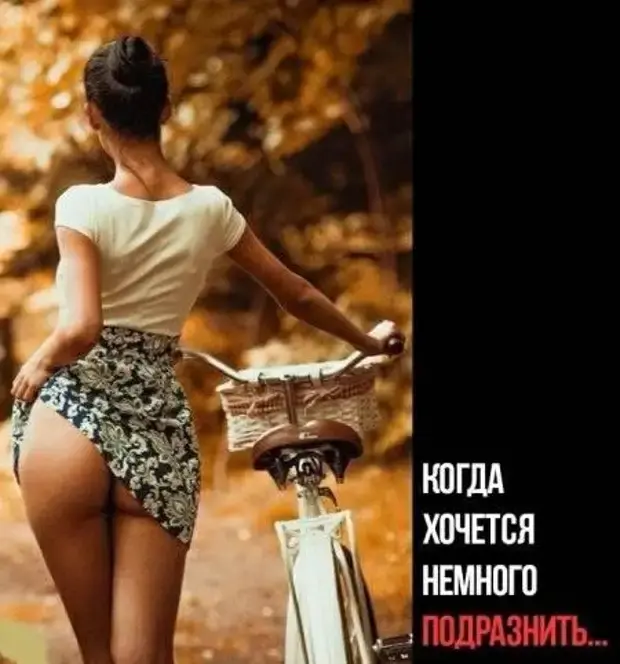 Пока охотник пишет историю: подборка жизненных диалогов и поступков истории, отношения, юмор, диалоги, доброта, бумеранг, жизненно