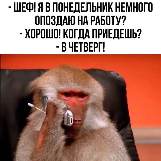 Порция отличного юмора: свежие мемы и картинки мемы, приколы, картинки, юмор, смешное, позитив, подборка, настроение