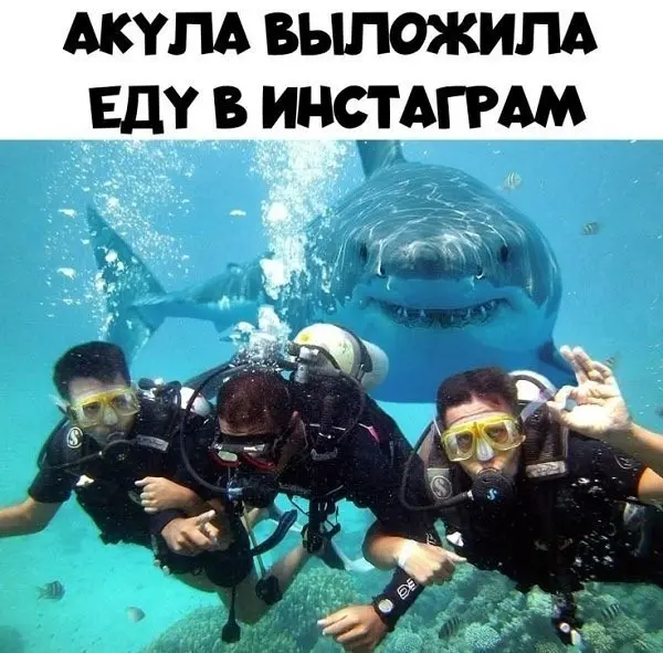 Порция отличного юмора: свежие мемы и картинки мемы, приколы, картинки, юмор, смешное, позитив, подборка, настроение