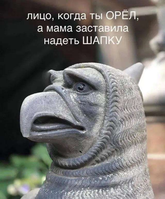Порция отличного юмора: свежие мемы и картинки мемы, приколы, картинки, юмор, смешное, позитив, подборка, настроение