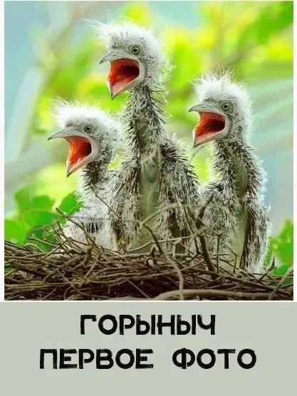 Порция отличного юмора: свежие мемы и картинки мемы, приколы, картинки, юмор, смешное, позитив, подборка, настроение