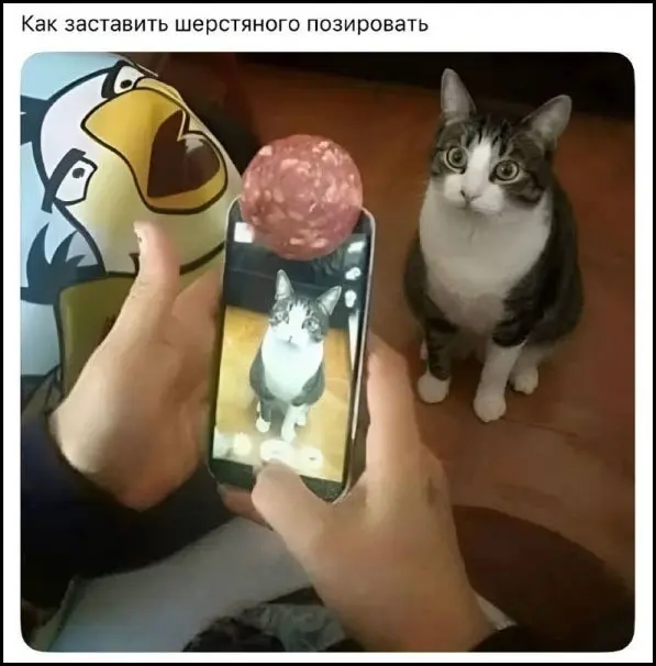 Порция отличного юмора: свежие мемы и картинки мемы, приколы, картинки, юмор, смешное, позитив, подборка, настроение