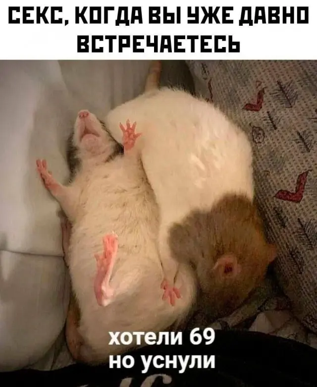 Порция отличного юмора: свежие мемы и картинки мемы, приколы, картинки, юмор, смешное, позитив, подборка, настроение