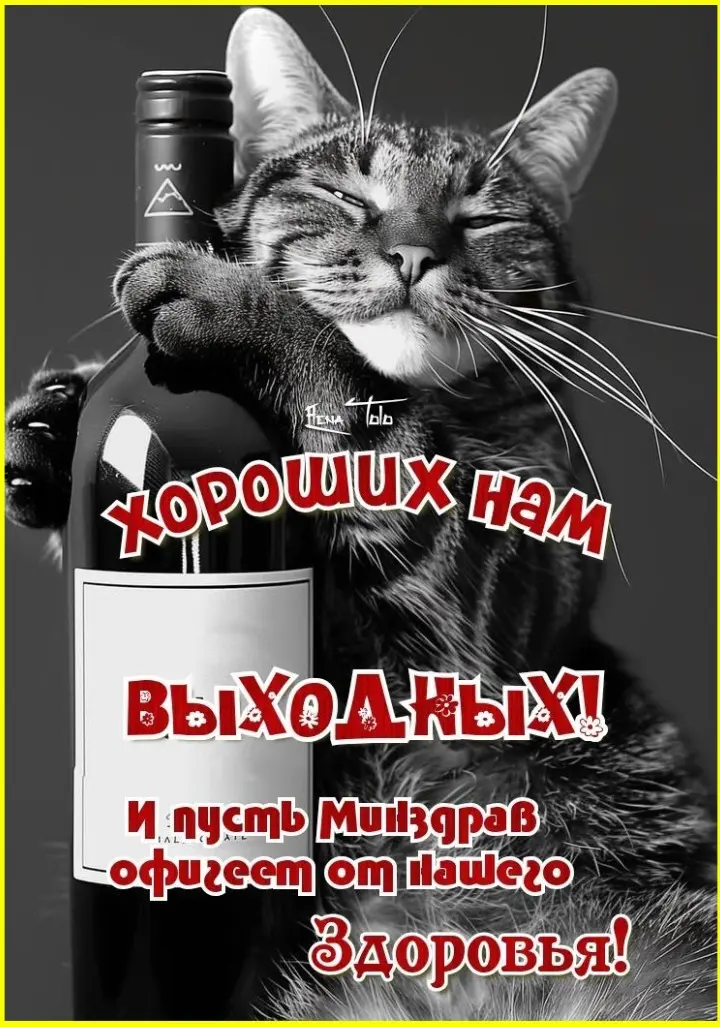Зимняя классика: отлучился на минуту — а за окном уже ночь Зимняя классика: отлучился на минуту — а за окном уже ночь зима, приколы, юмор, картинки, день, ночь