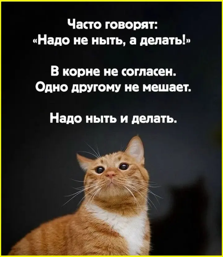 Зимняя классика: отлучился на минуту — а за окном уже ночь зима, приколы, юмор, картинки, день, ночь