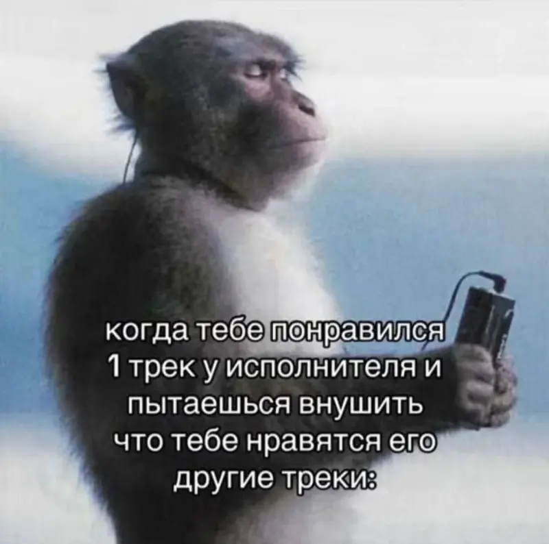 Юмор на утро: 13 мая, Марина и вечерние посиделки в соцсетях мемы, приколы, утро, соцсети, бессонница, смешные картинки, интернет