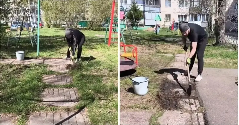 Парень своими руками преображает двор, начав с очистки плитки от травы и мха