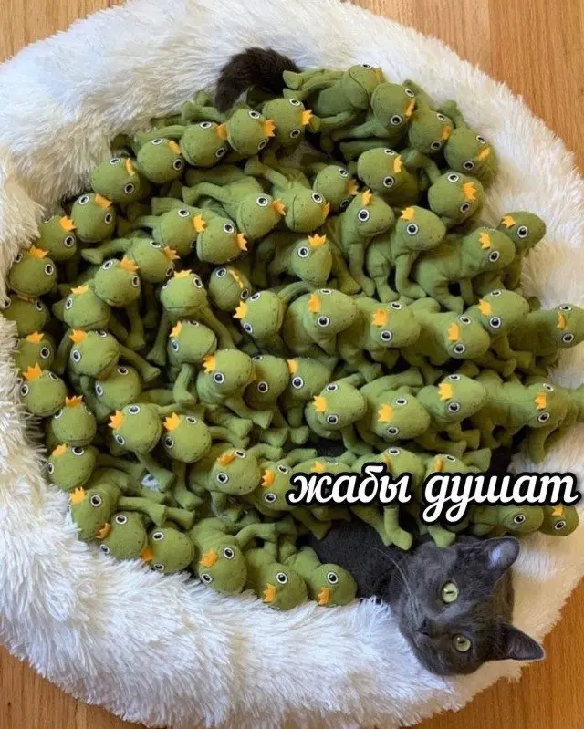 Пледовый психоз: вечерний сборник укутанных злюк