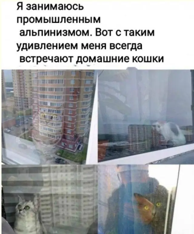 Великое перемирие с будильником будильник, утро, сон, одеяло, совесть, приколы, мемы