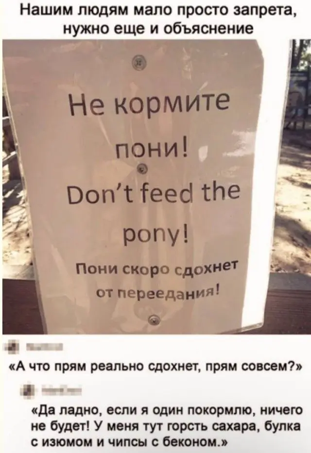 Великое перемирие с будильником будильник, утро, сон, одеяло, совесть, приколы, мемы