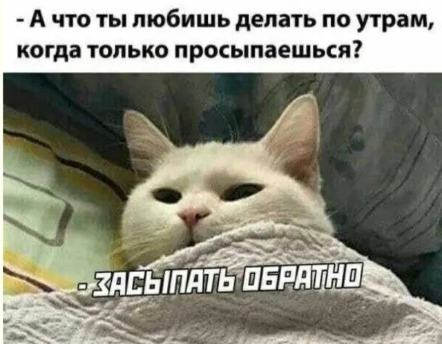 Великое перемирие с будильником будильник, утро, сон, одеяло, совесть, приколы, мемы