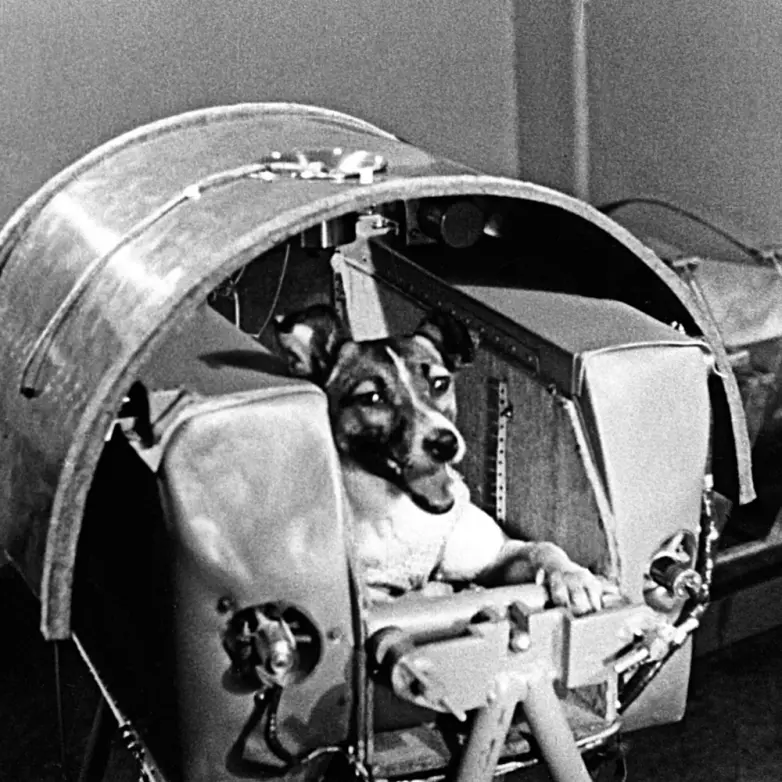 Исторические фото, от которых мурашки по коже: взгляд в прошлое история, ретро, фото, 20 век, знаменитости, интересные факты, ностальгия