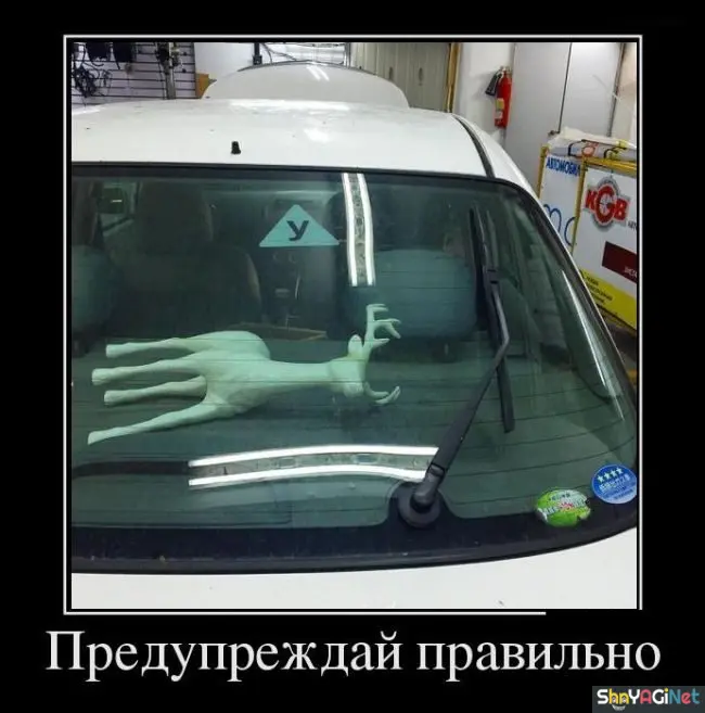 25 убойных демотиваторов для отличного настроения демотиваторы, приколы, юмор, позитив, картинки, смешное