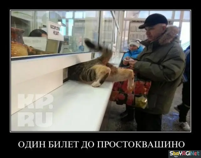 25 убойных демотиваторов для отличного настроения демотиваторы, приколы, юмор, позитив, картинки, смешное