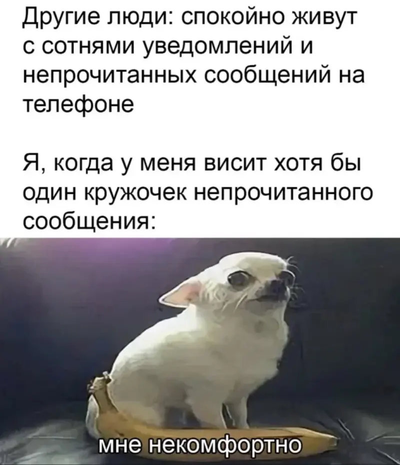 Вечерний юмор и гороскоп от жены: когда страшно, но надо юмор, приколы, мемы, гороскоп, жена, картинки, смех