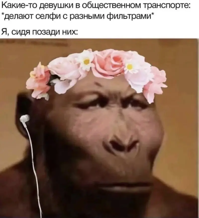 Вечерний юмор и гороскоп от жены: когда страшно, но надо юмор, приколы, мемы, гороскоп, жена, картинки, смех