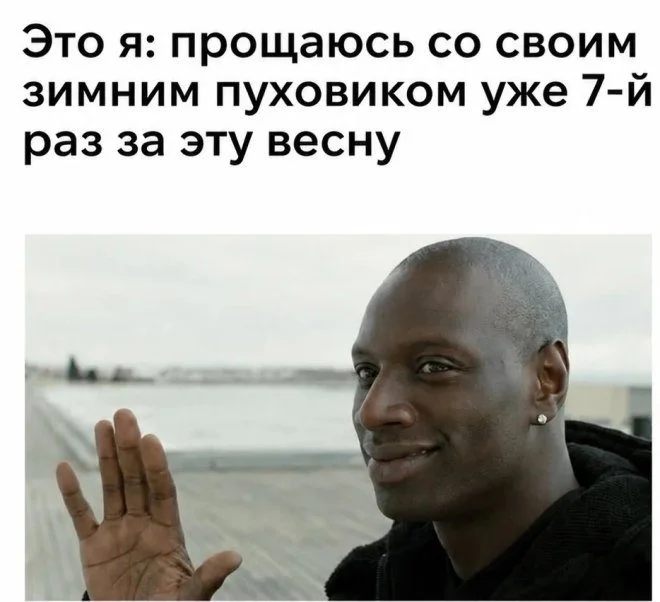 Порция отличного настроения: свежие приколы в картинках приколы, картинки, юмор, настроение, смешное
