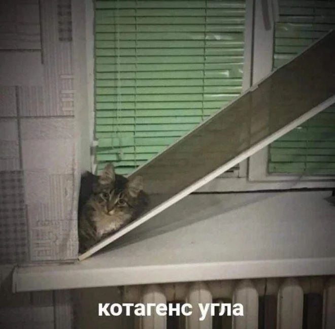 Порция отличного настроения: свежие приколы в картинках приколы, картинки, юмор, настроение, смешное