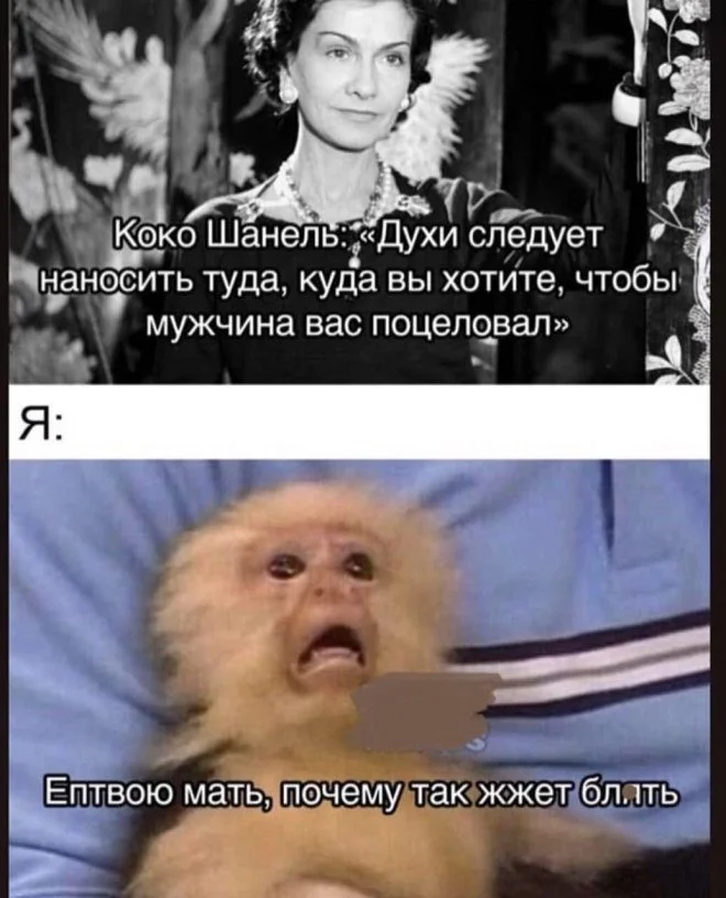 Порция отличного настроения: свежие приколы в картинках приколы, картинки, юмор, настроение, смешное