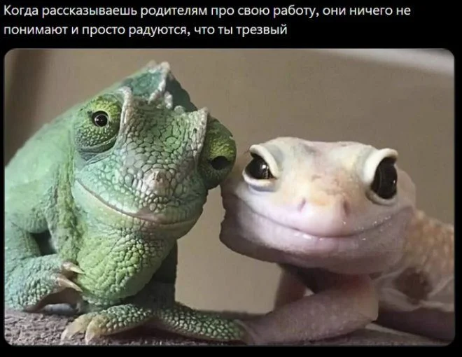 Порция отличного настроения: свежие приколы в картинках приколы, картинки, юмор, настроение, смешное