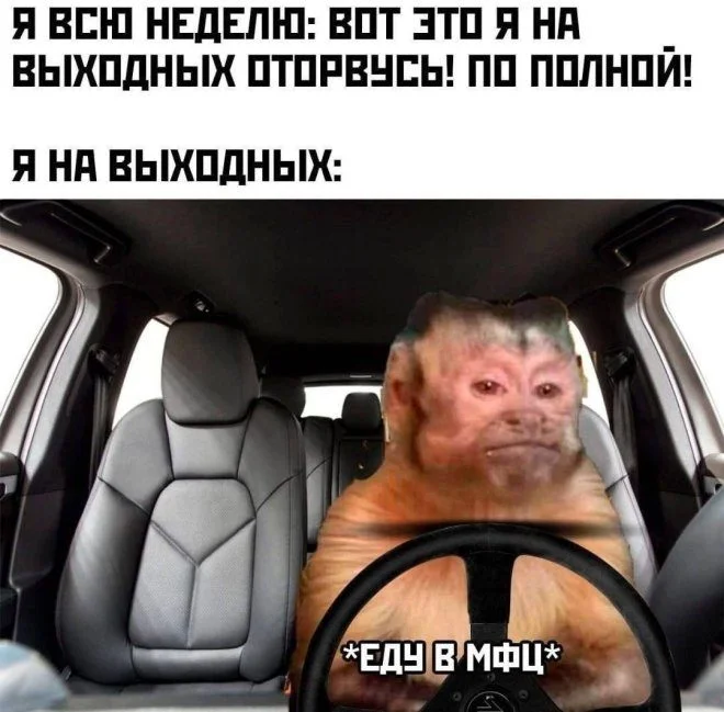Порция отличного настроения: свежие приколы в картинках приколы, картинки, юмор, настроение, смешное