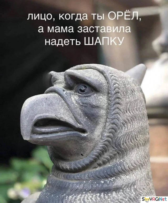 Майские приколы: шикардосная подборка самого сока приколы, май, юмор, картинки, мемы, ржака, подборка, смешное