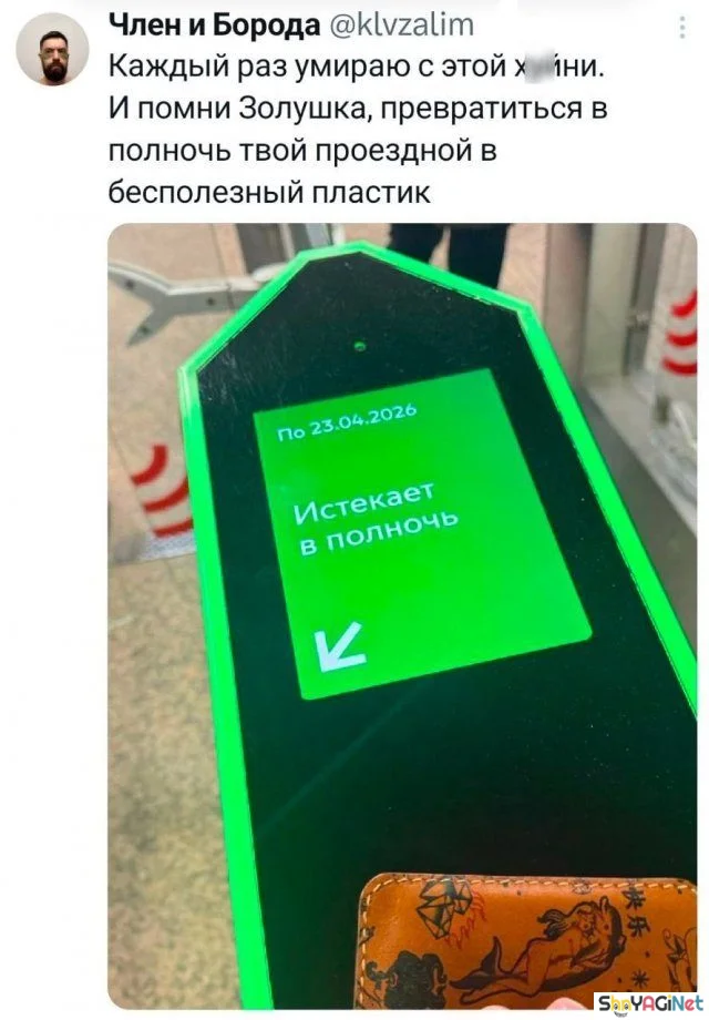 Лучшие майские приколы из соцсетей: 25 угарных комментариев приколы, май, соцсети, комментарии, смешное, угар, юмор