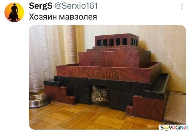 Лучшие майские приколы из соцсетей: 25 угарных комментариев приколы, май, соцсети, комментарии, смешное, угар, юмор
