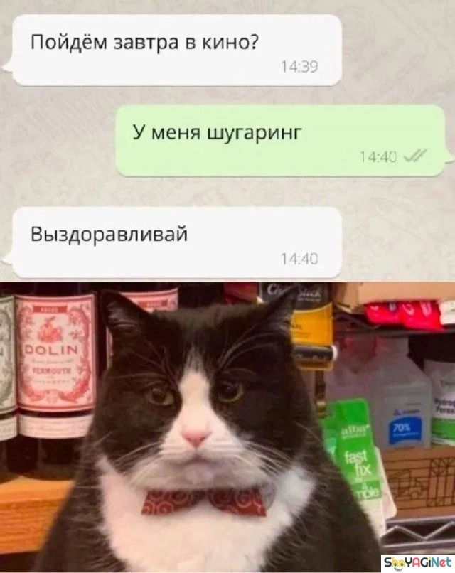 Топ угарных СМС-диалогов: порция смеха на весь день смс, приколы, юмор, переписки, смешные диалоги, угар, подборка