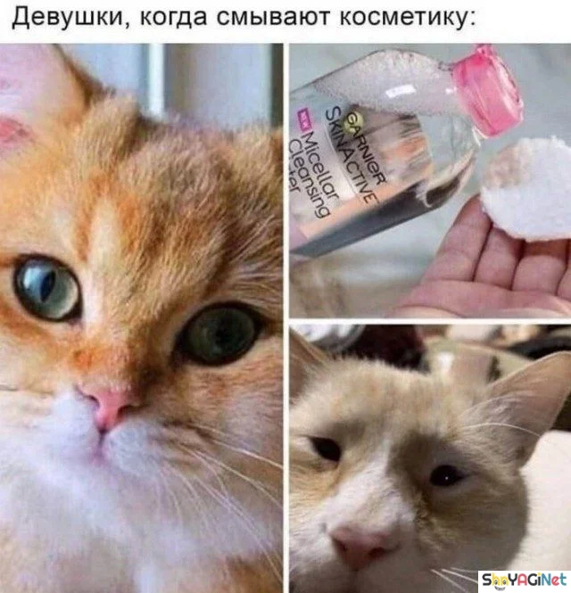 Женский юмор: 100% удовольствия и море смеха! женский юмор, приколы, мемы, гифки, девушки, смешное, позитив, подборка картинок