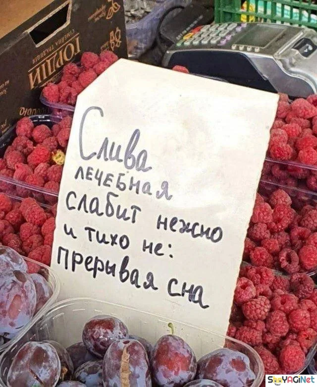 Топ народных перлов: от смеха до икоты! приколы, надписи, юмор, народное творчество, смешное, подборка, настроение