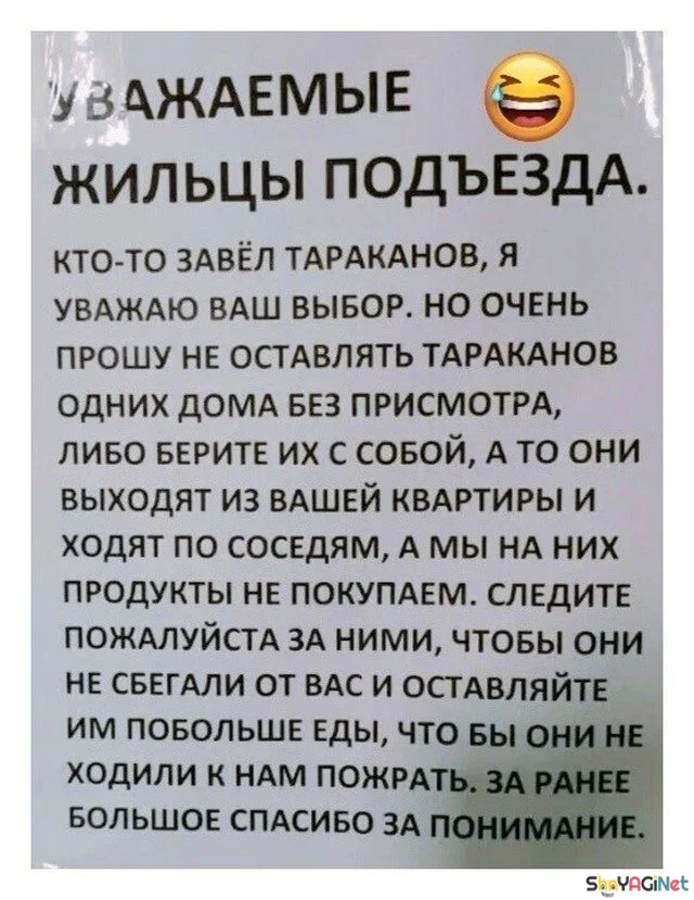 Топ народных перлов: от смеха до икоты! приколы, надписи, юмор, народное творчество, смешное, подборка, настроение