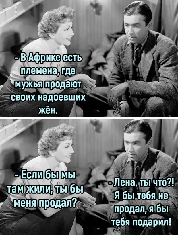 Уморительные истории и анекдоты для отличного настроения анекдоты, юмор, смешные истории, подборка, про жизнь, про котов, про блондинок