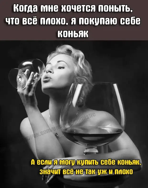 Уморительные истории и анекдоты для отличного настроения анекдоты, юмор, смешные истории, подборка, про жизнь, про котов, про блондинок