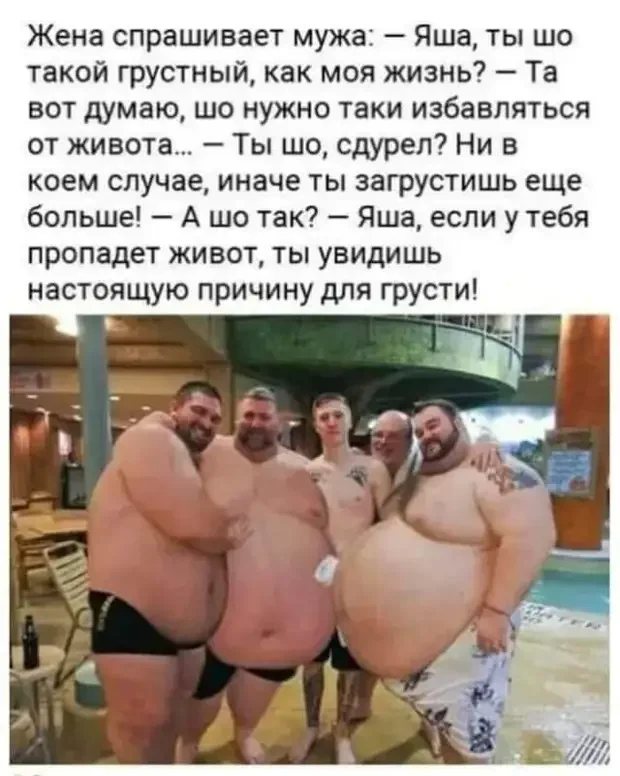 Самые смешные диалоги: от юристов до масленицы юмор, анекдоты, диалоги, шутки про юристов, подарки, масленица, игра слов, русский язык