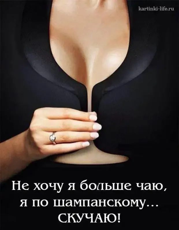Самые смешные диалоги: от юристов до масленицы юмор, анекдоты, диалоги, шутки про юристов, подарки, масленица, игра слов, русский язык