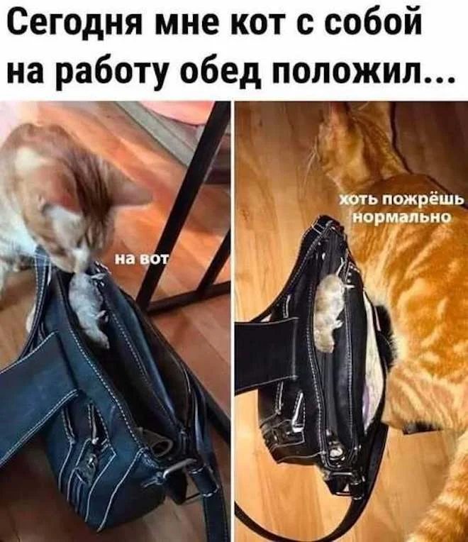 Смешные картинки на утро 15 мая и неприметные люди мемы, приколы, юмор, картинки, подборка, 15 мая, пятница