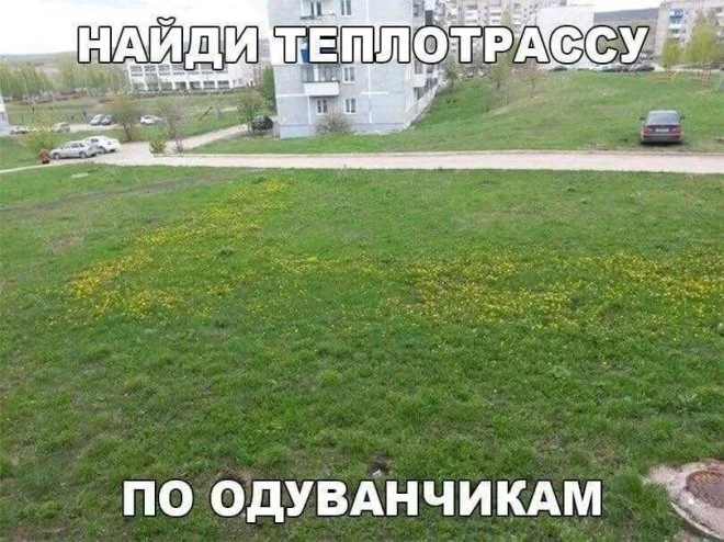 Смешные картинки на утро 15 мая и неприметные люди мемы, приколы, юмор, картинки, подборка, 15 мая, пятница