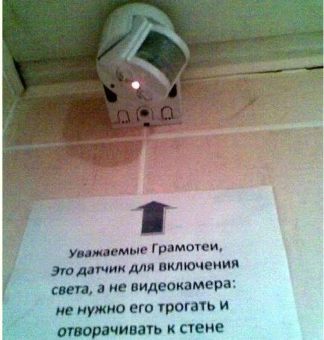 Слон в посудной лавке и ты: как мы вписываемся в острые углы жизни приколы, неловкость, грация, слон, посудная лавка, юмор