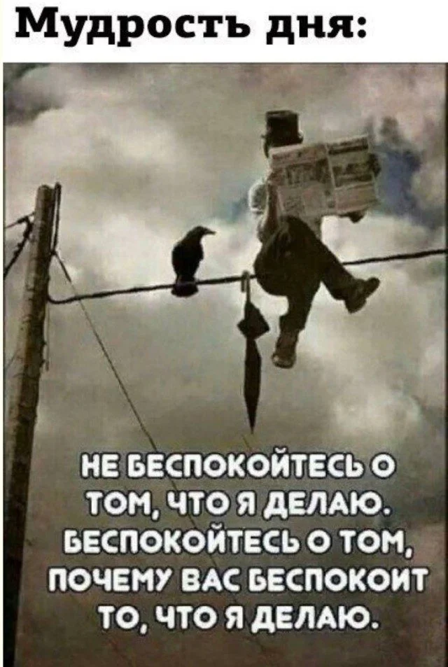 Слон в посудной лавке и ты: как мы вписываемся в острые углы жизни приколы, неловкость, грация, слон, посудная лавка, юмор