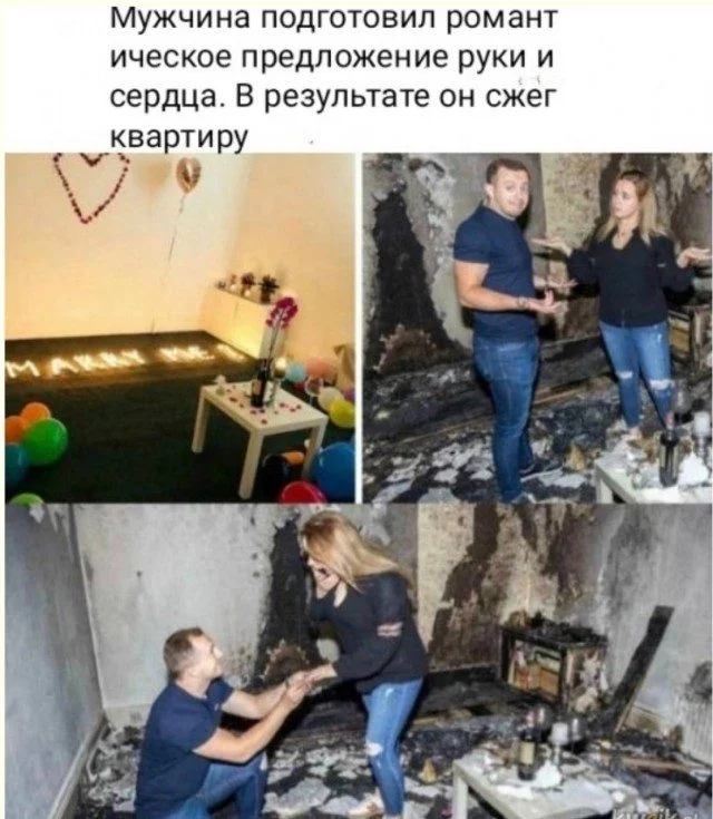 Слон в посудной лавке и ты: как мы вписываемся в острые углы жизни приколы, неловкость, грация, слон, посудная лавка, юмор