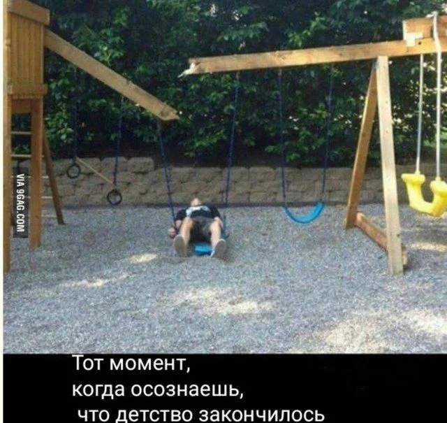 Слон в посудной лавке и ты: как мы вписываемся в острые углы жизни приколы, неловкость, грация, слон, посудная лавка, юмор