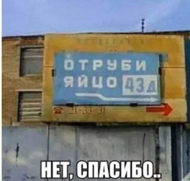 Слон в посудной лавке и ты: как мы вписываемся в острые углы жизни приколы, неловкость, грация, слон, посудная лавка, юмор
